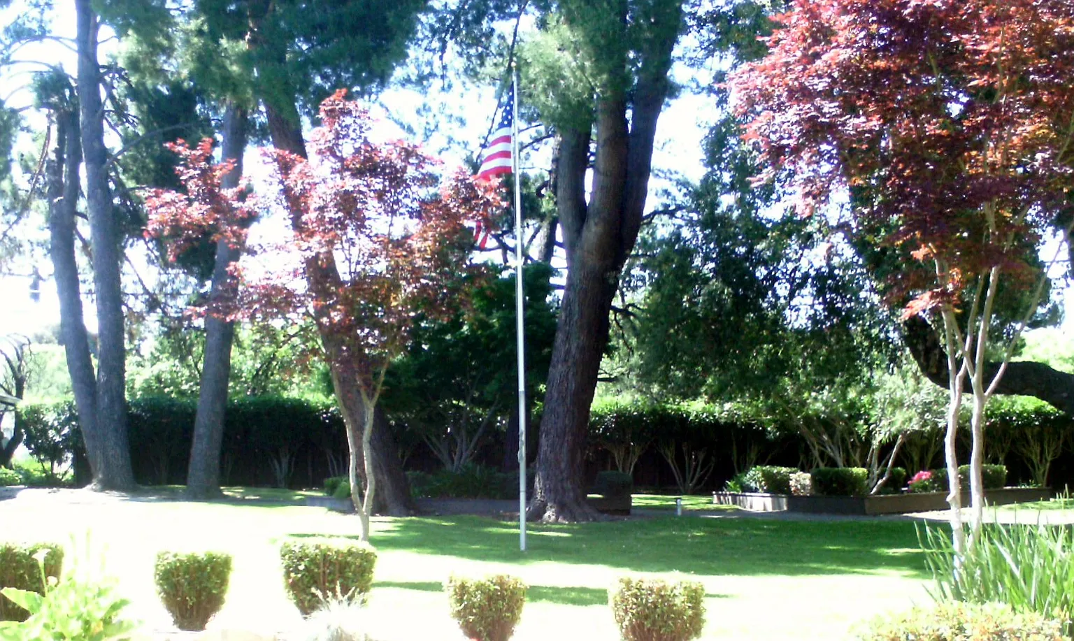 Arbol Verde — Photo 1