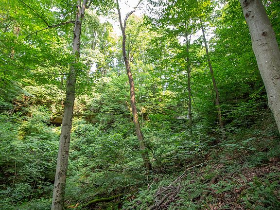 5th image of 0 Township Road 29