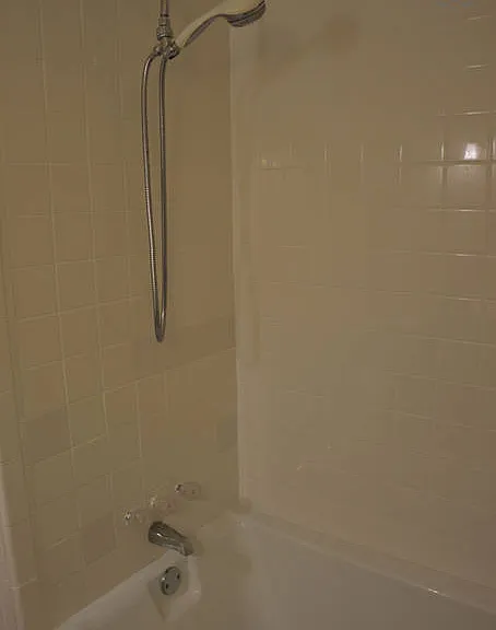 Shower/Tub Combo with Clean Tile Surround