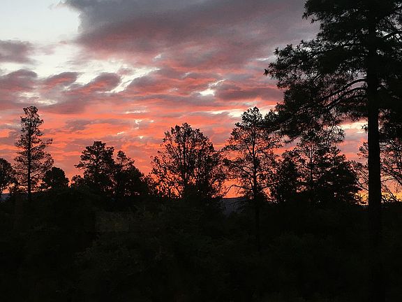 View from Kitchen window