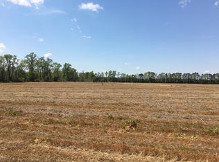 101-0101 Cannan Rd LOT 1 & 2, Newton Grove, NC 28366