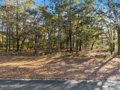 2061 Oyster Harbour Pkwy SW Lot 305, Supply, NC, 28462