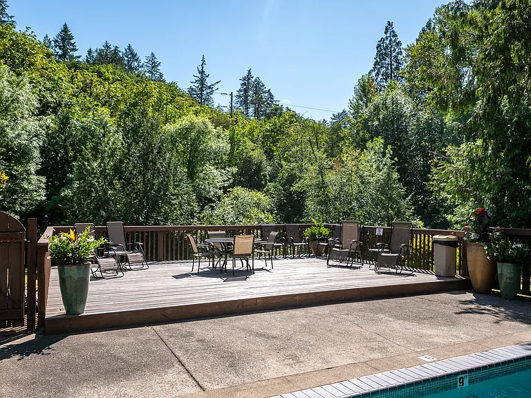 Timberlee — Photo 13