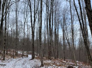 LOT 46 Wells Rd LOT 46, Norwich, NY 13815