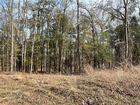 3rd image of LOT 71 Highpoint Cv