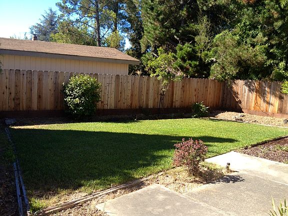 Private back yard