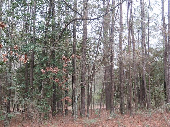 4th image of 1424 Township Rd Lot Wp001