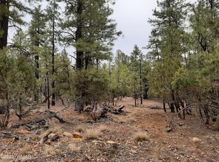 2792 High Ridge Rd, Overgaard, AZ 85933