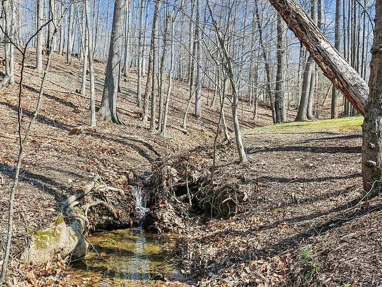 24875 Old Hundred Rd — Photo 45