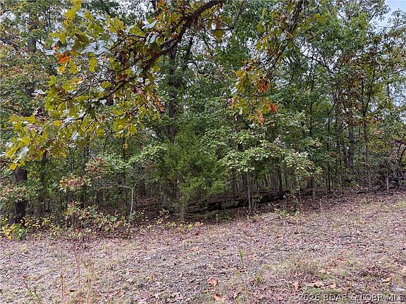 3rd image of LOT 20 Oak Rdg