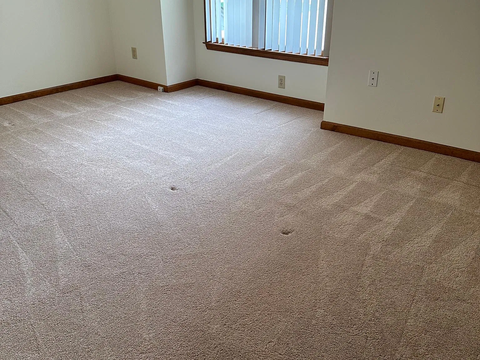 3 bed, 2.5 bath, 1849 sqft, $1,895 — Photo 4