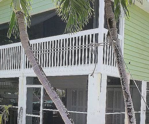 5th image of 161 Arica Ln