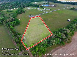 Vacant Nw Buckskin Way, Madison, FL 32340