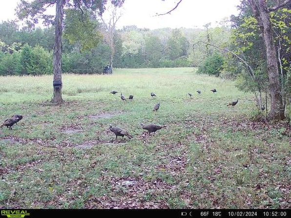 1716 S Berlin Rd, Lewisburg, TN 37091