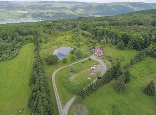 6001 Canadice Hill Rd, Springwater, NY 14560