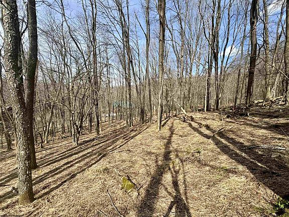 5th image of LOT 10 Fern Ct