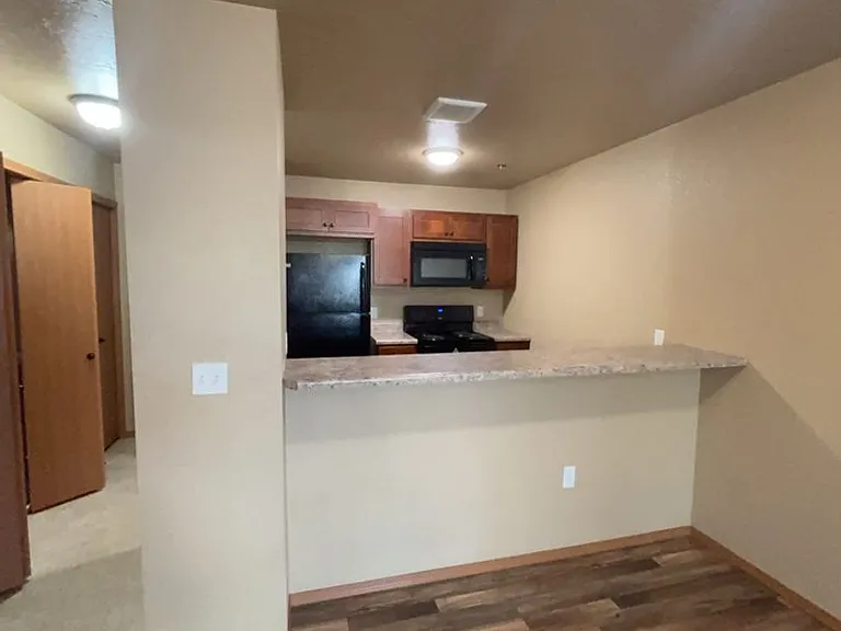 1647 Shindig Dr — Photo 19