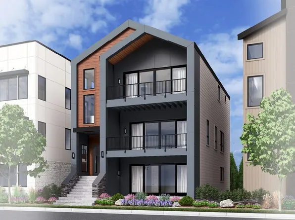 Energetic Plan, Baseline: Limited Edition