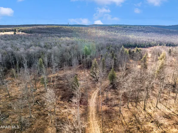 LOT Six Mountain Rd, Lilly, PA 15938