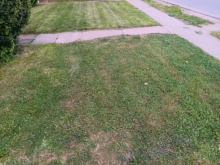 623 Kenmore Ave #2 — Photo 2
