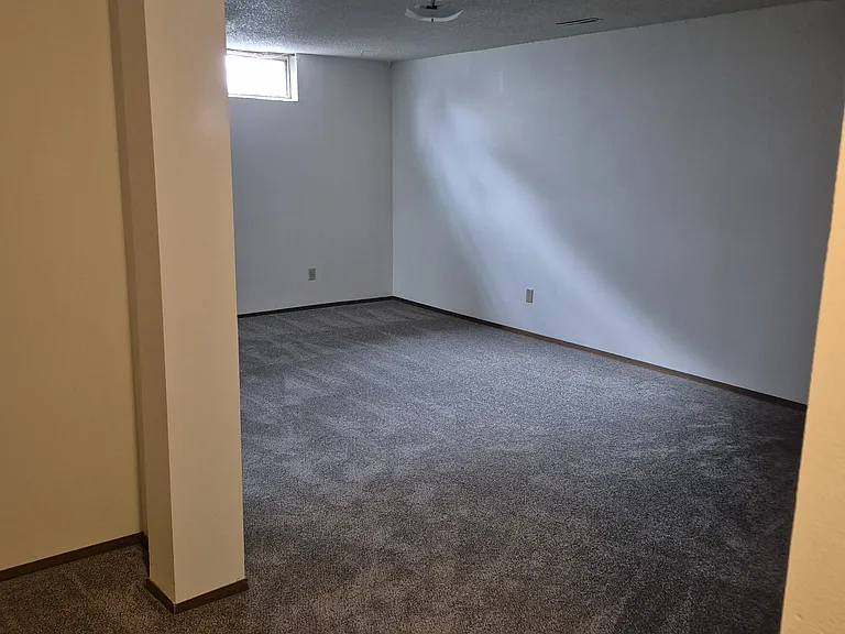 Basement family room
