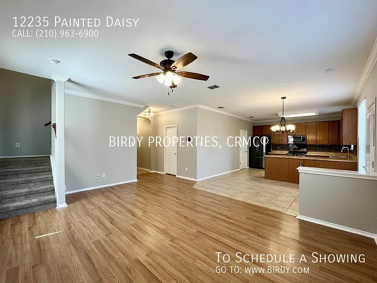 12235 Painted Daisy — Photo 14