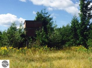 Traverse Rd, Thompsonville, MI 49683