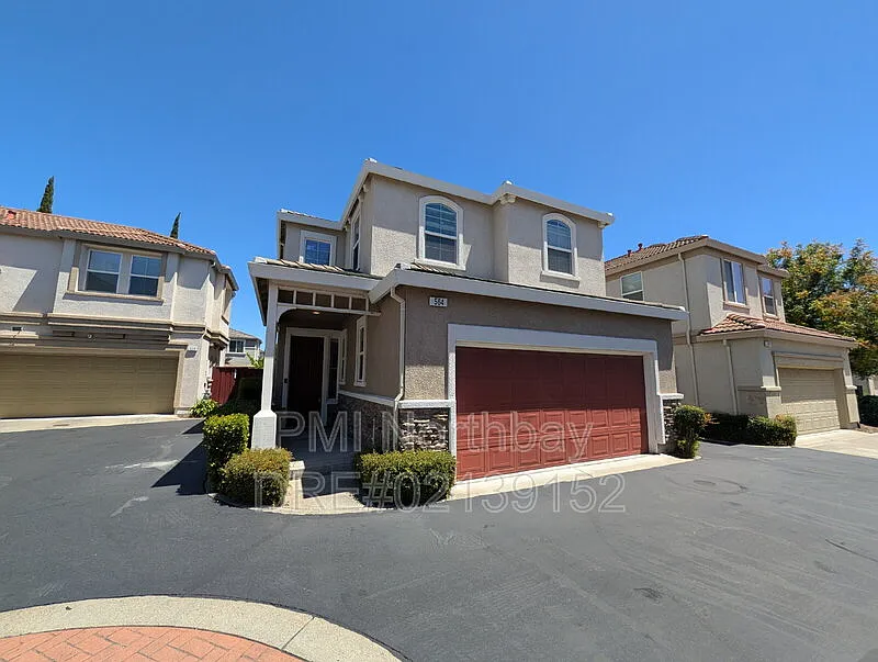 564 Primitivo Ct