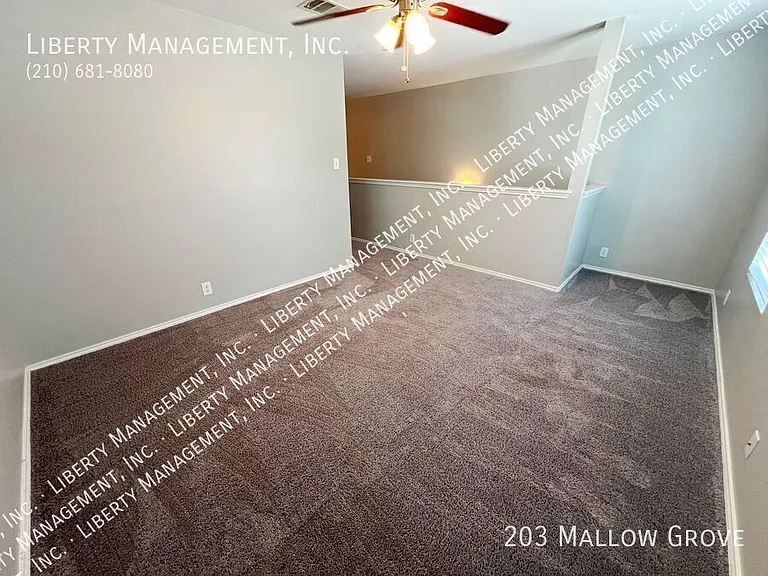 203 Mallow Grv — Photo 19