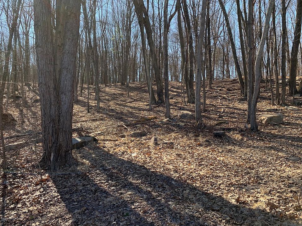 2nd image of Ransom Road