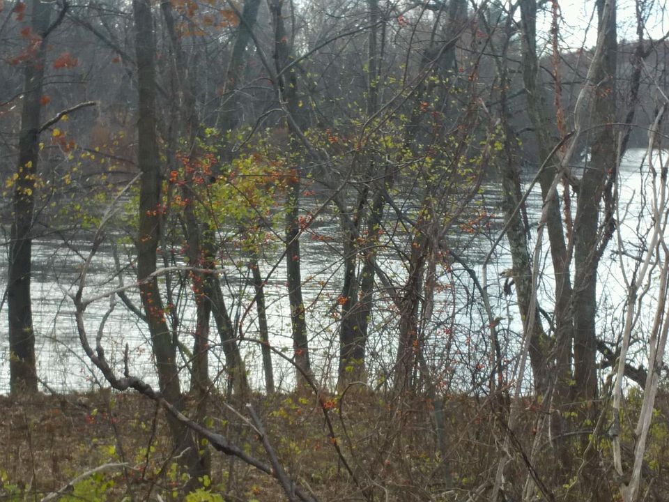 1st image of 1169 River St #1