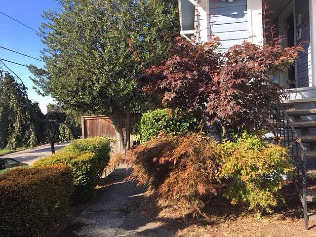 1 bed, 675 sqft, $1,625 — Photo 4