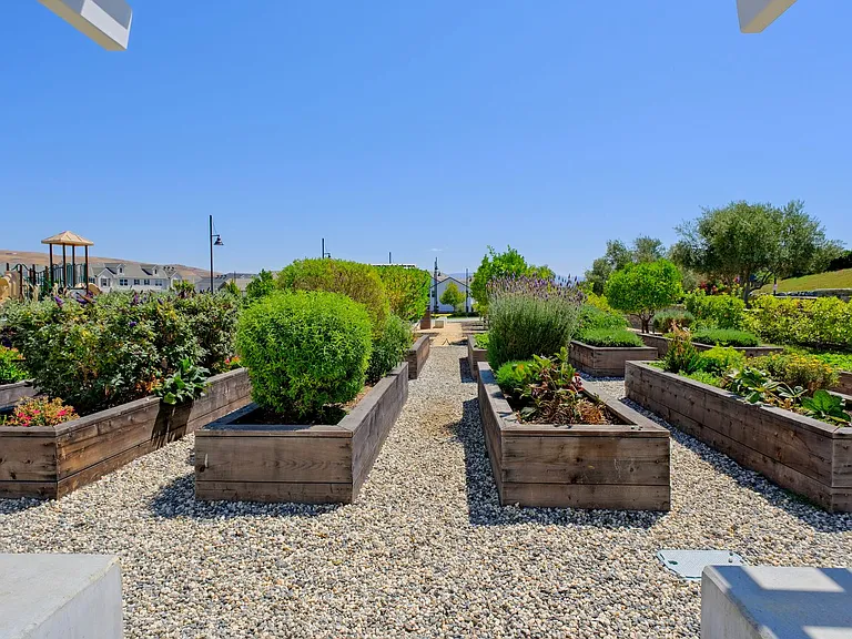 7006 Stags Leap Ln — Photo 30