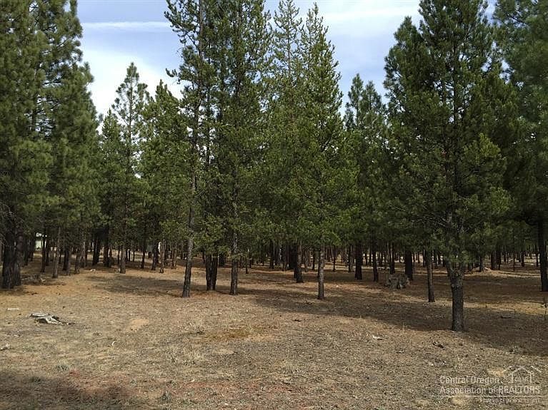 1st image of 52024 Black Pine Way