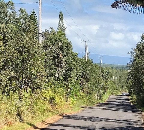 4th image of 11-3545 Hibiscus St Lot 7466