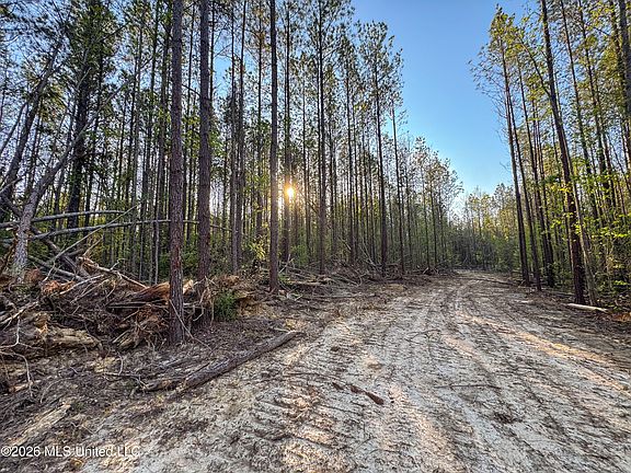 5th image of Sand Hill Rd Lot 1