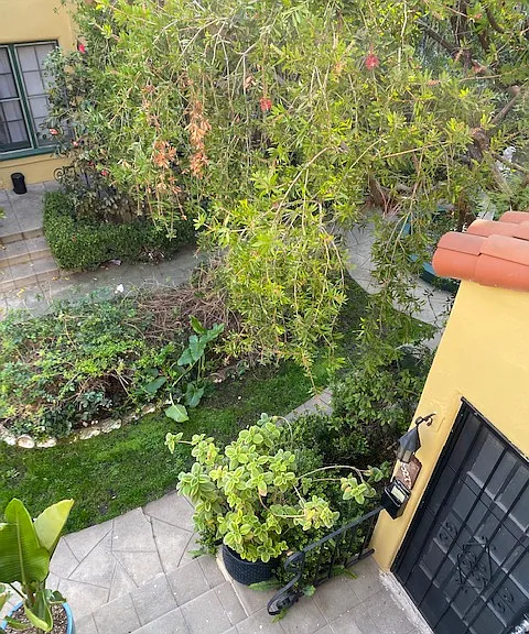 Vista - 1523 1/2 — Photo 8