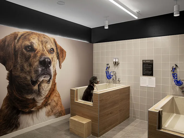Keep your furry friends fresh and clean in our convenient, spa-style pet wash station.