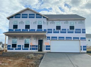 101 Mint Ct, Bluff City, TN 37618