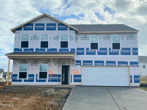 101 Mint Ct, Bluff City, TN 37618