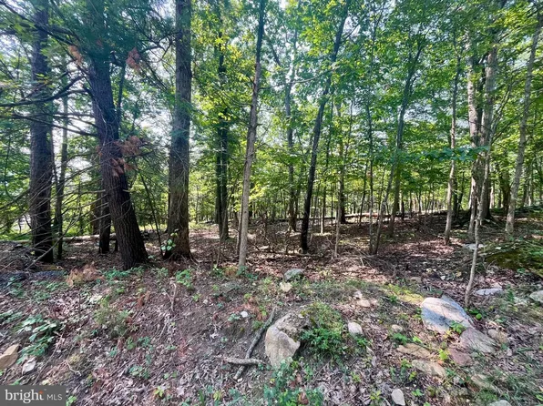 Cross Creek Rd, Luray, VA 22835