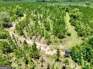 0 W River Rd, Rhine, GA 31077