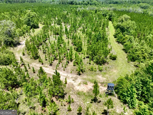 0 W River Rd, Rhine, GA 31077