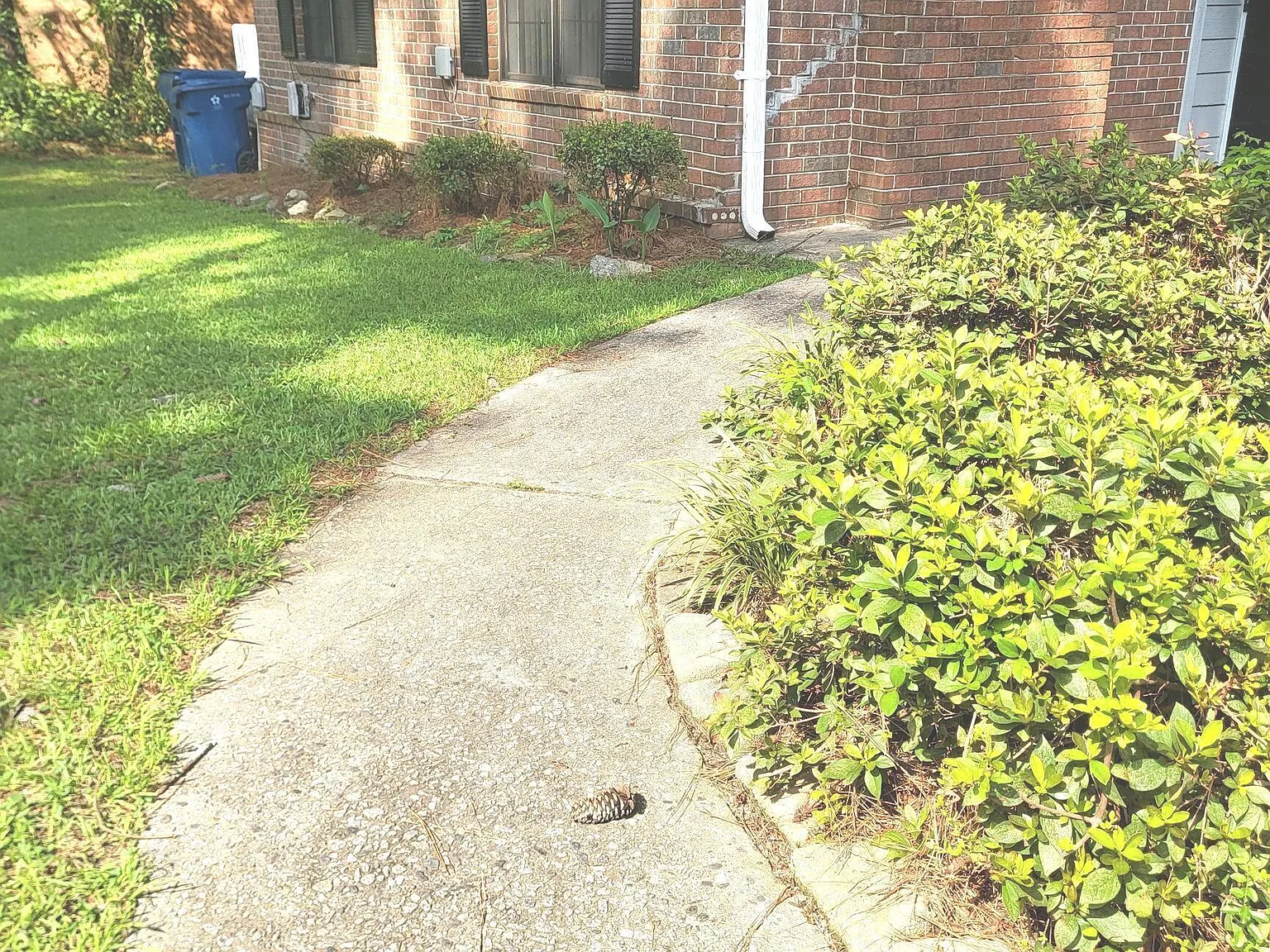 2 bed, 2.0 bath, 1062 sqft, $1,500 — Photo 2