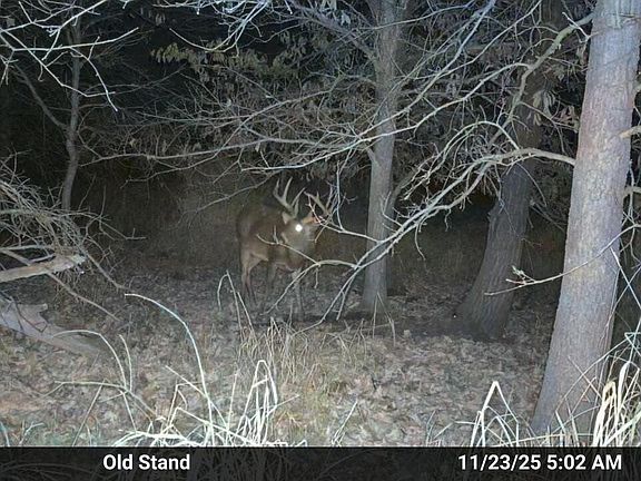 3rd image of 0 HIGHWAY 21