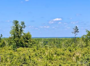 LOT-11C Cotton Lake Rd, Molino, FL 32577