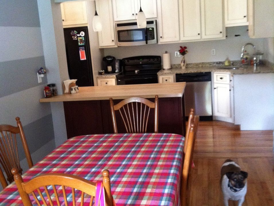 Kitchen and Dining Room