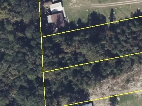 21 Tanglewood Trl, Georgetown, GA 39854