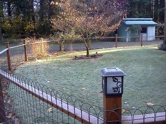 Fenced Yard
