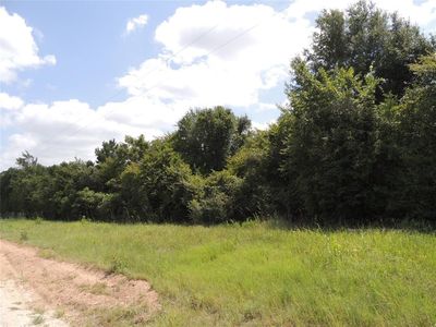 24640 Bedias Dr, Bedias, TX, 77831
